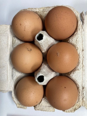 OEUF FR.