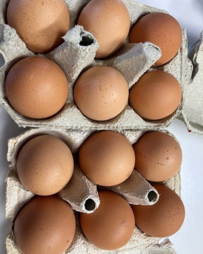 OEUF FR.