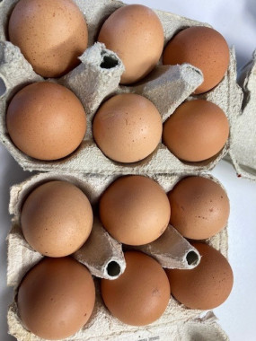 OEUF FR.