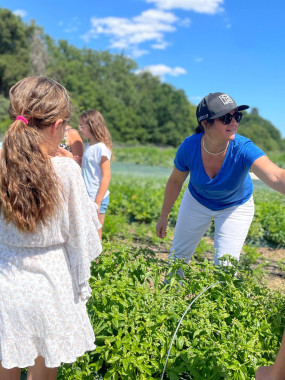 VISITE GUIDEE DE NOTRE POTAGER