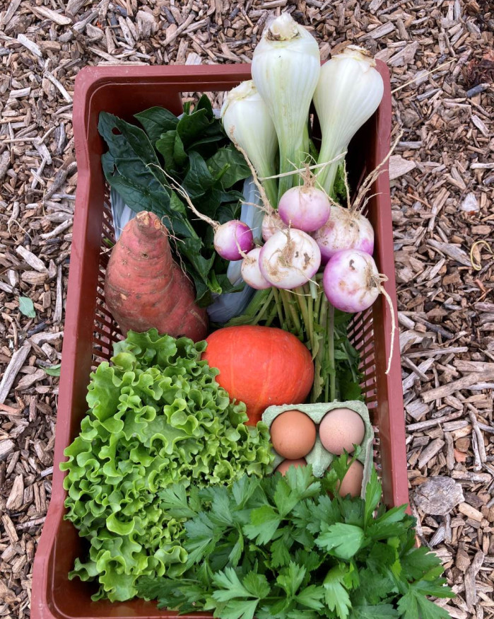 PANIER DE LEGUMES 2 PERSONNES 