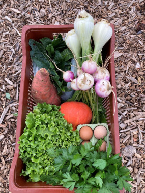 PANIER DE LEGUMES 2 PERSONNES 