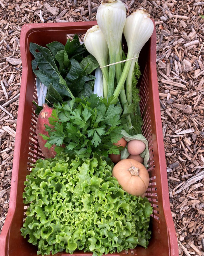 PANIER DE LEGUMES 4 PERSONNES