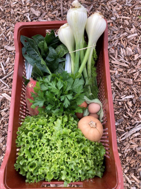 PANIER DE LEGUMES 4 PERSONNES