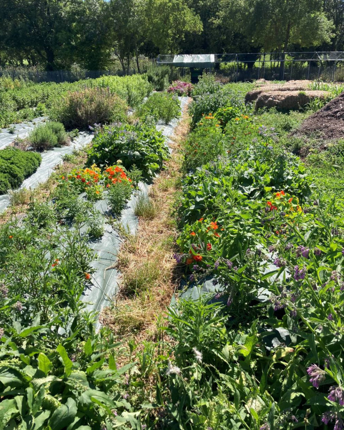 VISITE GUIDEE DE NOTRE POTAGER