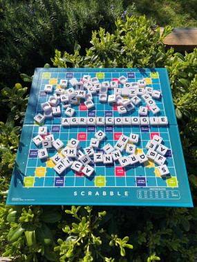 OFFRE ENTREPRISE FR.