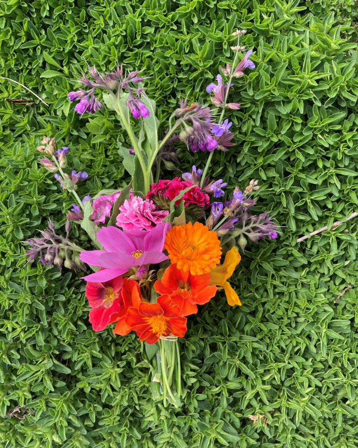 Fleurs comestibles