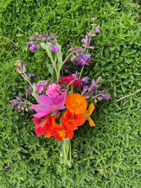 FLEURS COMESTIBLES FR.