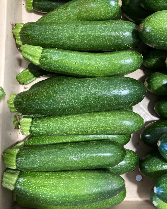 courgette verte FR.