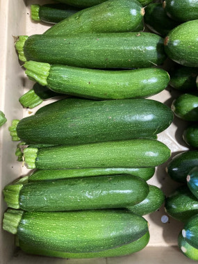 COURGETTES VERTES.FR
