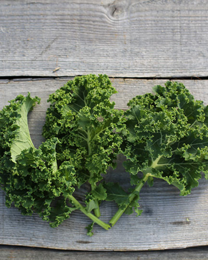 CHOU KALE FR.