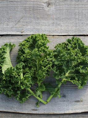 CHOU KALE FR.