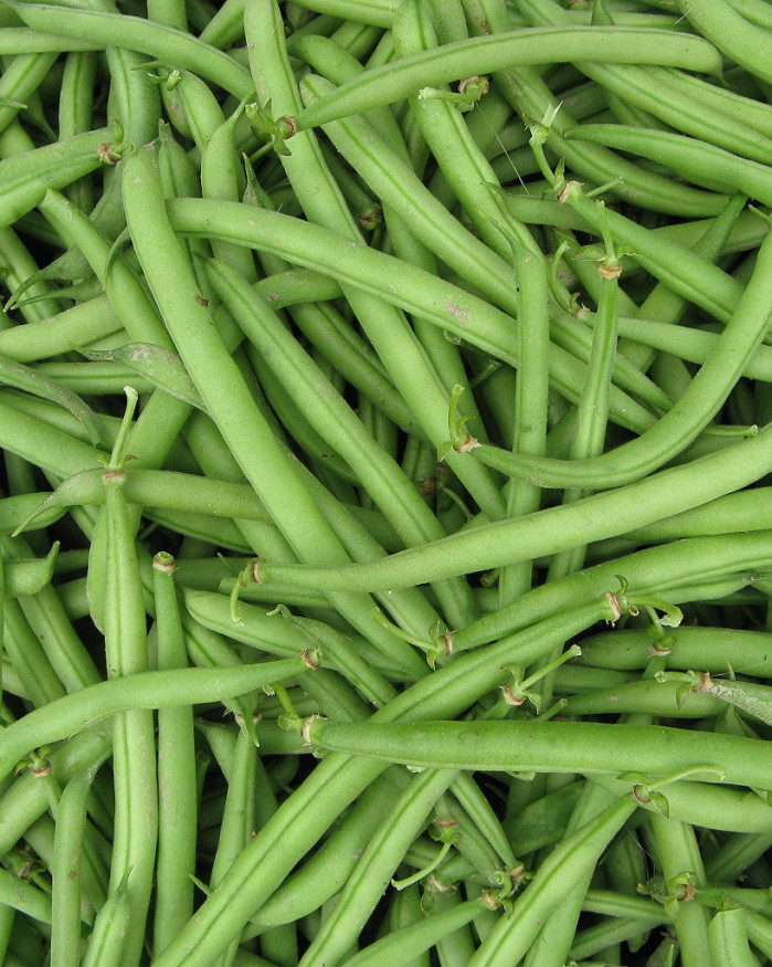 HARICOT VERT
