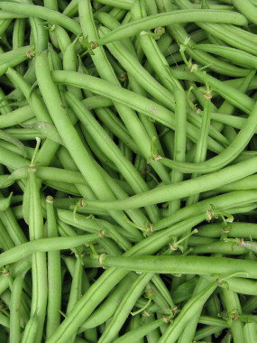 HARICOT VERT FR.