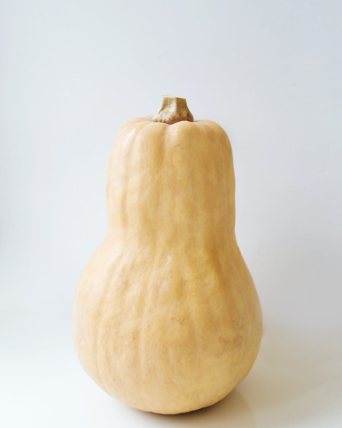 BUTTERNUT FR.