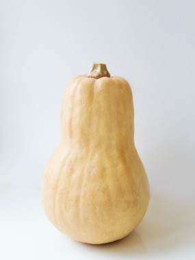 BUTTERNUT FR.