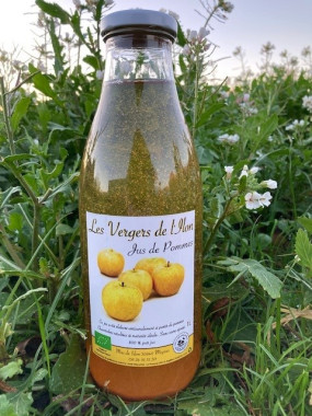 JUS DE POMME FR.