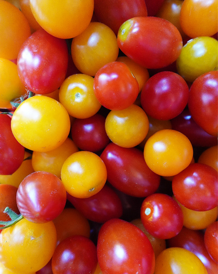 TOMATES CERISES FR.