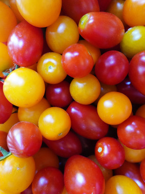 TOMATES CERISES FR.